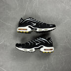 Nike Tns (43)