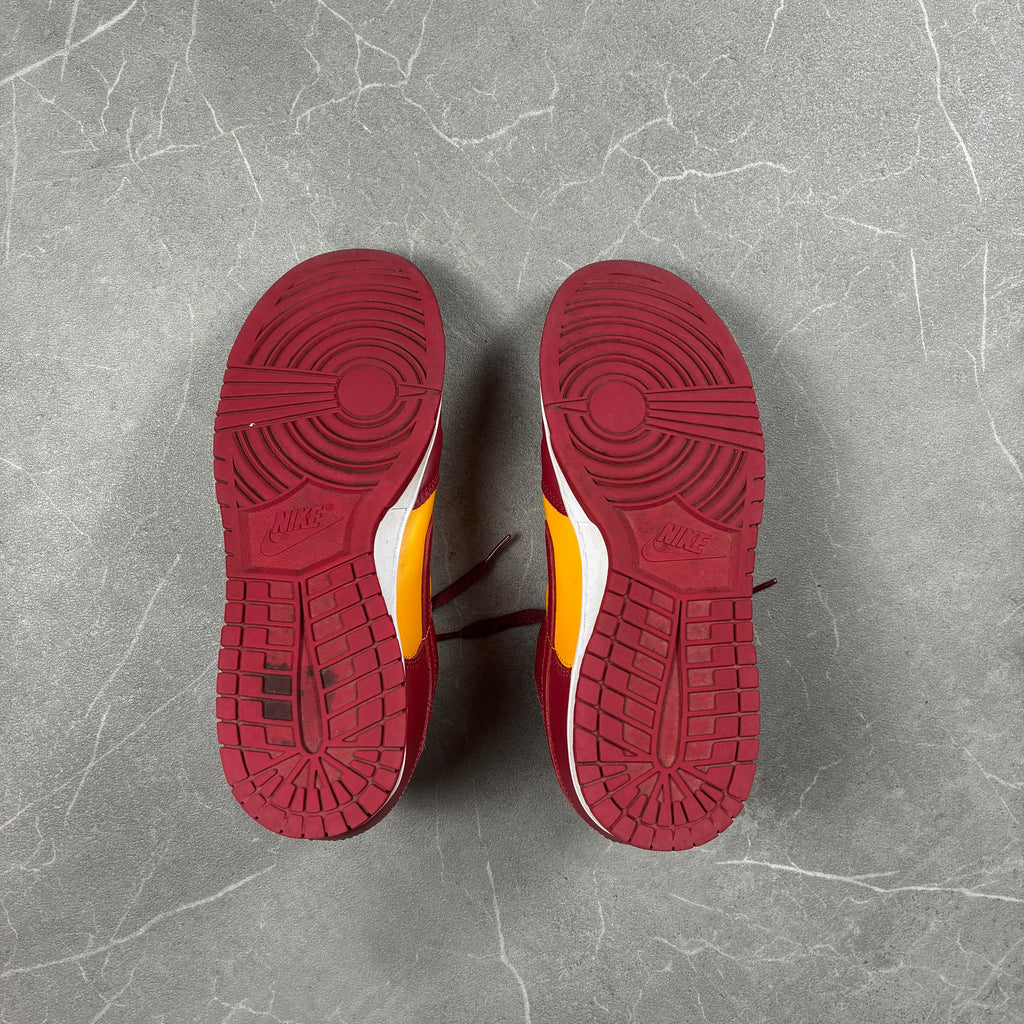Nike Dunks (45)