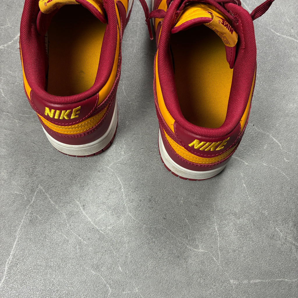 Nike Dunks (45)