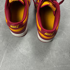 Nike Dunks (45)